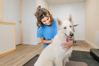 ANIMA - Cabinet d'ostéopathie animale de Rennes (Eden Mazureau) à Rennes