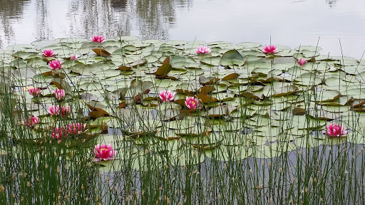 Winery «Villa Catalana Cellars», reviews and photos, 11900 S Criteser Rd, Oregon City, OR 97045, USA