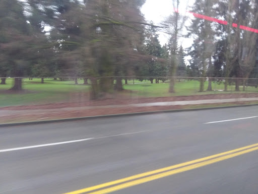 Golf Course «Allenmore Golf Course», reviews and photos, 2013 S Cedar St, Tacoma, WA 98405, USA