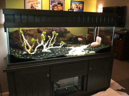 Aquarium Shop «Artistic Aquatics», reviews and photos, 1035 Forest View Dr N, Ellettsville, IN 47429, USA