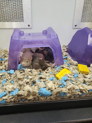 Pet Supply Store «Petco Animal Supplies», reviews and photos, 2000 NE Burnside Rd, Gresham, OR 97030, USA