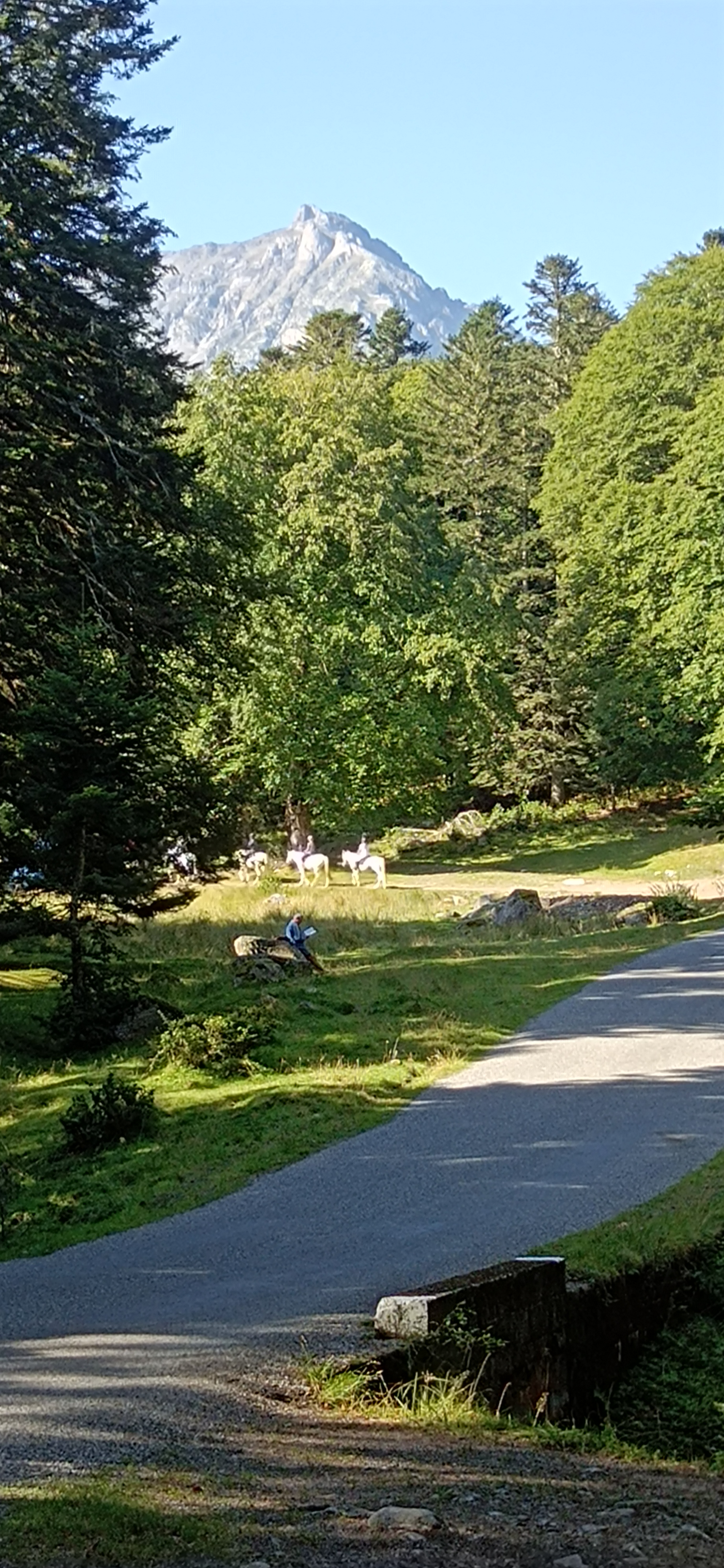 Photo n° 2 de l'avis de Maurice.a fait le 26/08/2023 à 09:37