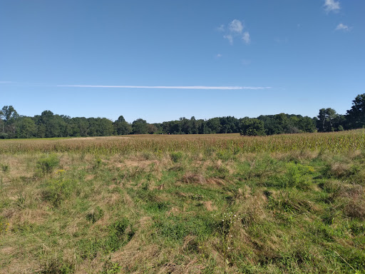 Nature Preserve «White Clay Creek State Park Nature Center», reviews and photos, 1475 Creek Rd, Newark, DE 19711, USA