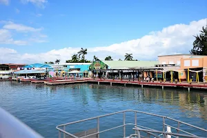 Fort Street Tourism Village image