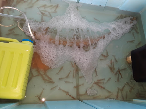 Hardware Store «Anchor Hardware & Storage», reviews and photos, 726 US-1, Oak Hill, FL 32759, USA