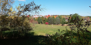 Viles Arboretum