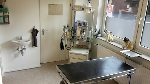 Kleintierpraxis Astrid Urlaub unter Neuss, Nordrhein-Westfalen