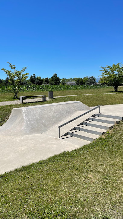 Skatepark Crans-Près-Céligny par Vertical