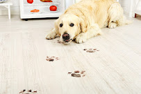 Allied Carpet Care - Photo 7 - Car repair in Boise, ID, Boise