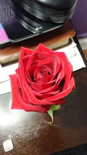 Florist «Hollywood Florist», reviews and photos, 1700 Stuyvesant Ave, Union, NJ 07083, USA