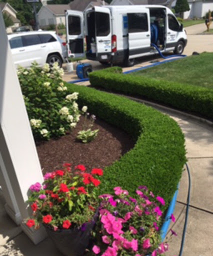 Spots Carpet Cleaning in Painesville, Ohio