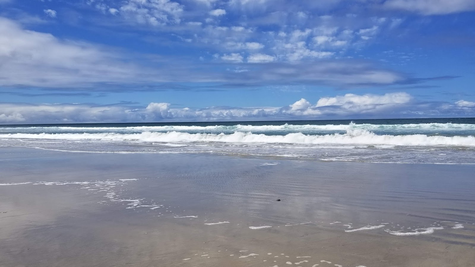 Encinitas beach的照片 带有碧绿色水表面