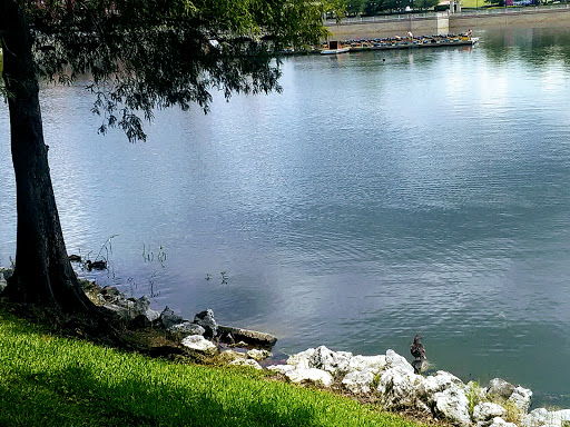 Park «Cranes Roost Park», reviews and photos, 274 Cranes Roost Blvd, Altamonte Springs, FL 32701, USA