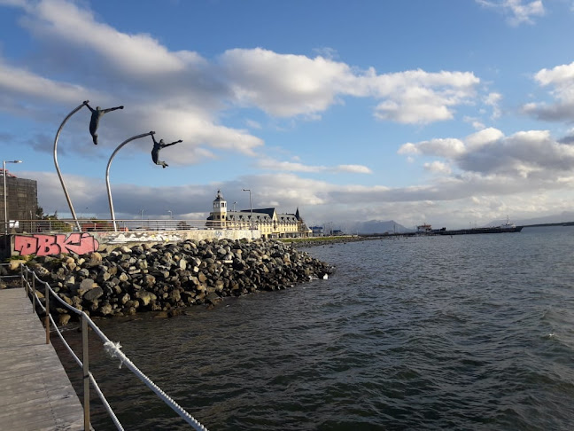 ONAISIN transporte privado - Punta Arenas