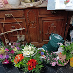 Photo n° 2 de l'avis de Mariahlamb. fait le 14/01/2024 à 13:20 pour Au Bouton d'Or à Mortagne-du-Nord