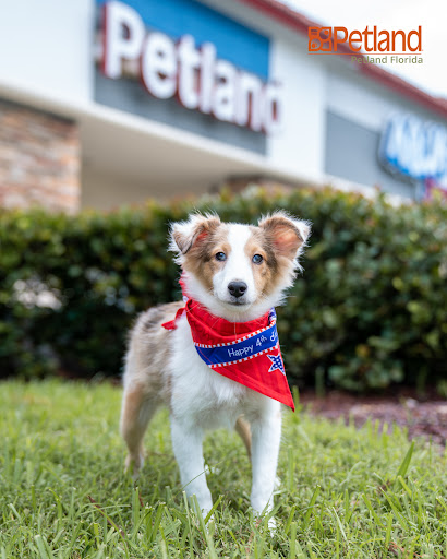 Pet Store «Petland of Plantation», reviews and photos, 801 S University Dr, Plantation, FL 33324, USA