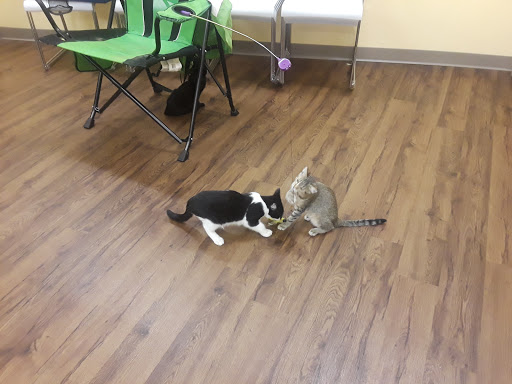 Pet Supply Store «PetPeople», reviews and photos, 3330 Washtenaw Ave, Ann Arbor, MI 48104, USA