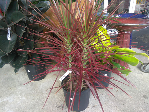 Hardware Store «Hagan Ace Hardware», reviews and photos, 6567 US-90, Glen St Mary, FL 32040, USA