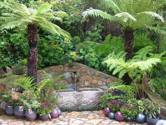 Avaliações doVerdeal da Roca em Sintra - Floricultura