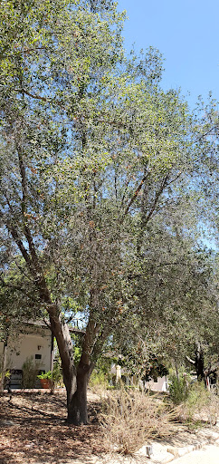 Park «Heritage Hill Historical Park», reviews and photos, 25151 Serrano Rd, Lake Forest, CA 92630, USA