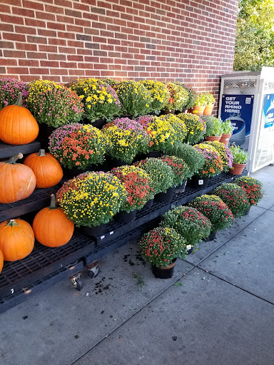 Supermarket «Super Stop & Shop», reviews and photos, 1429 NY-300, Newburgh, NY 12550, USA