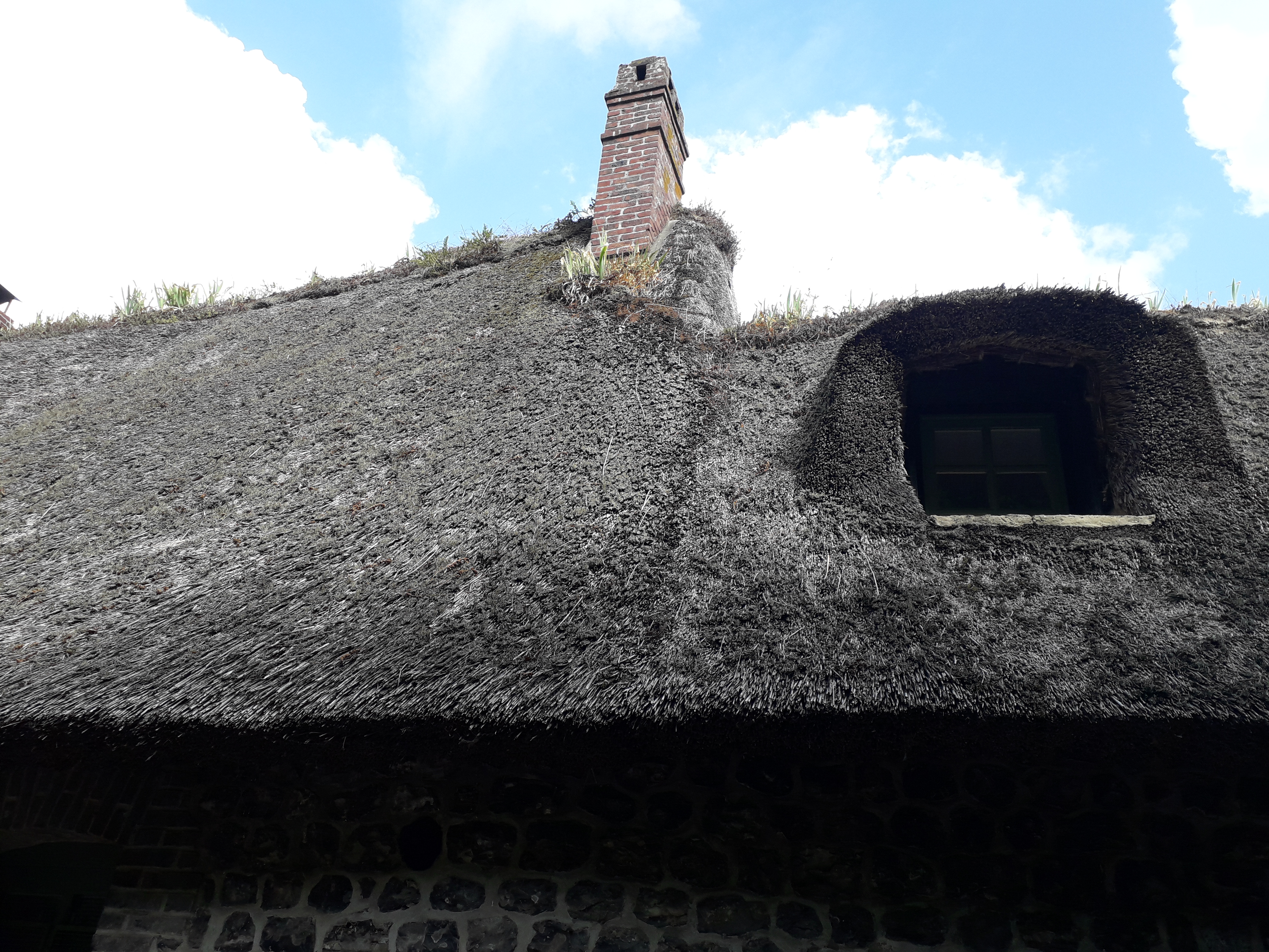 Photo n° 3 de l'avis de Catherine.C fait le 13/08/2019 à 19:08