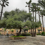 Photo n°3 de l'avis de Valentina.o fait le 06/06/2022 à 08:38 sur le  Baglio Borgesati à Salemi