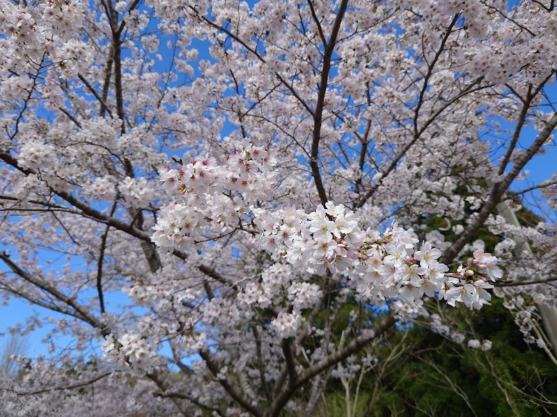 くまそ広場