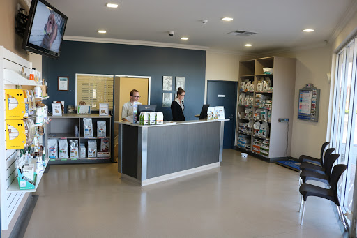 Port Adelaide Veterinary Clinic & Cattery