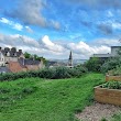 St. Luke's Community Garden