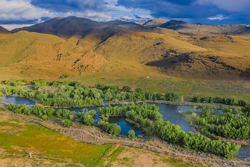 McCarran Ranch Preserve