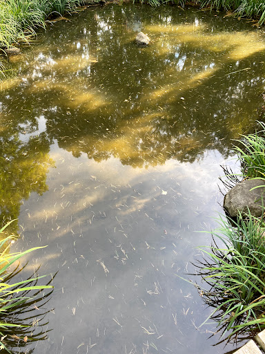 History Museum «Fabyan Villa Museum», reviews and photos, 1511 S Batavia Ave, Geneva, IL 60134, USA