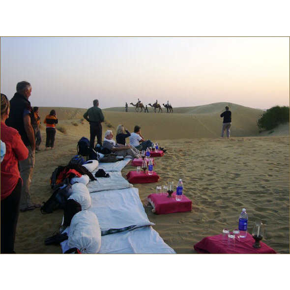 Desert Safari Tours in Jodhpur