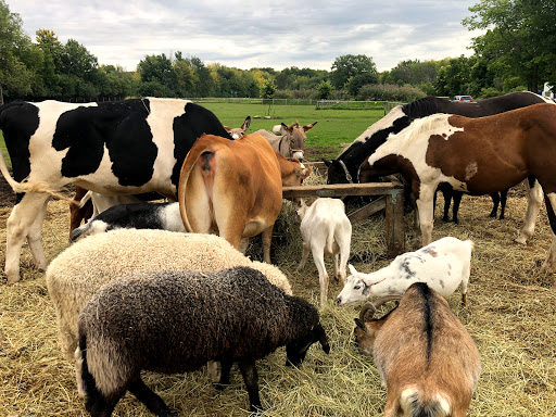 Ferme écologique du parc-nature Cap-Saint-Jacques