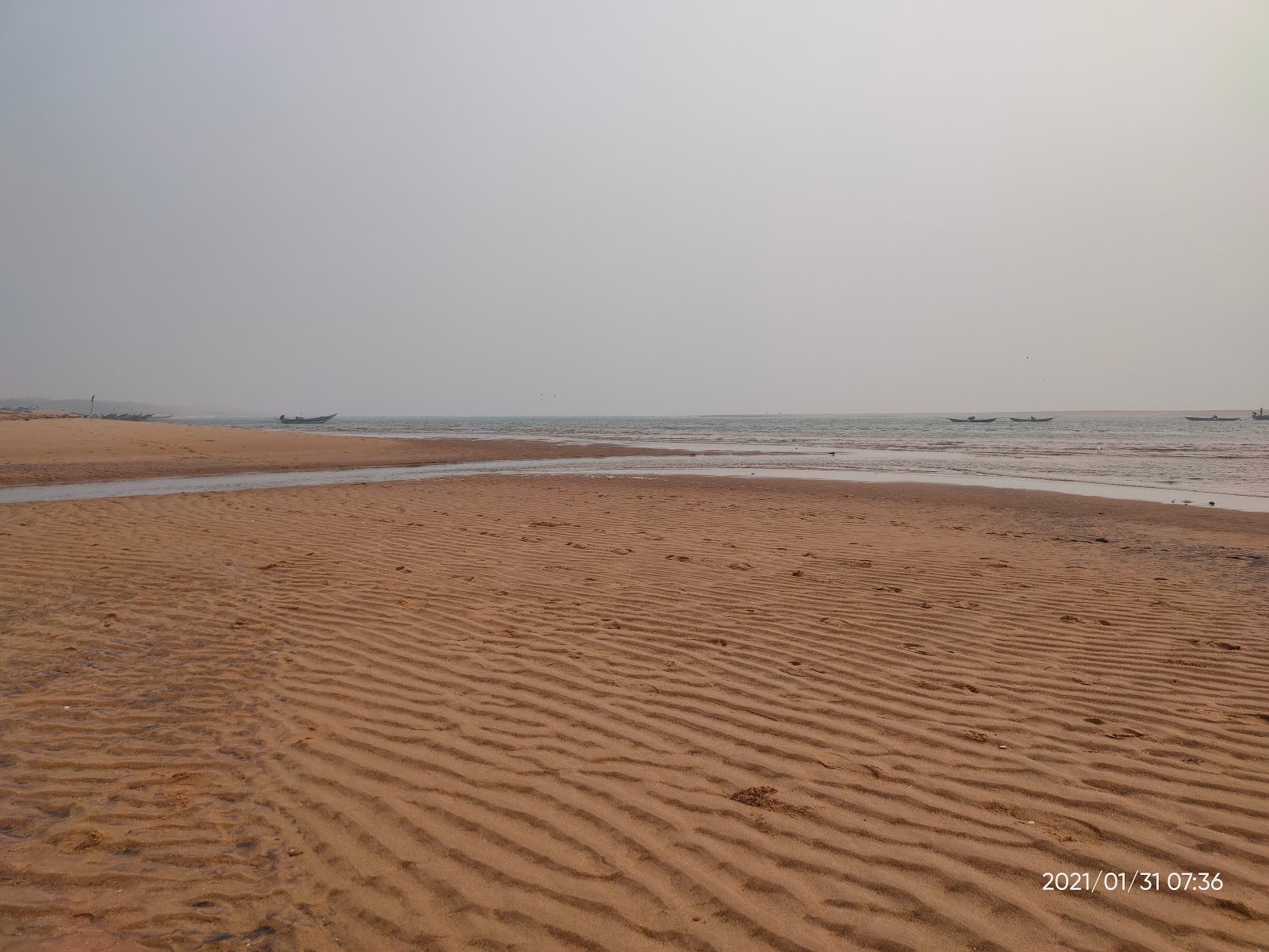 Photo de Purunabandha Sea Beach zone sauvage