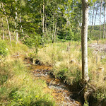 Photo n° 7 de l'avis de Marten.a fait le 18/07/2017 à 12:46 pour Camping La Cube à Le Brugeron