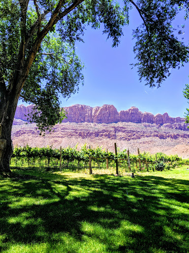Winery «Spanish Valley Vineyard & Winery», reviews and photos, 4710 Zimmerman Ln, Moab, UT 84532, USA