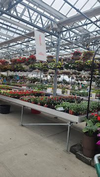 Suburban Lawn & Garden - Photo 3 - Car repair in Lenexa, KS, Olathe