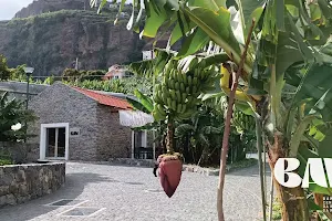 Banana Museum of Madeira (BAM) image