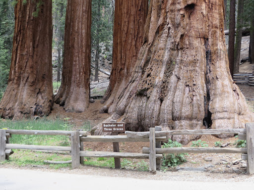 Gift Shop «Big Trees Gift Shop», reviews and photos, 4720 Mariposa Grove Rd, Fish Camp, CA 93623, USA