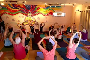 House of Light Yoga and Wellness image