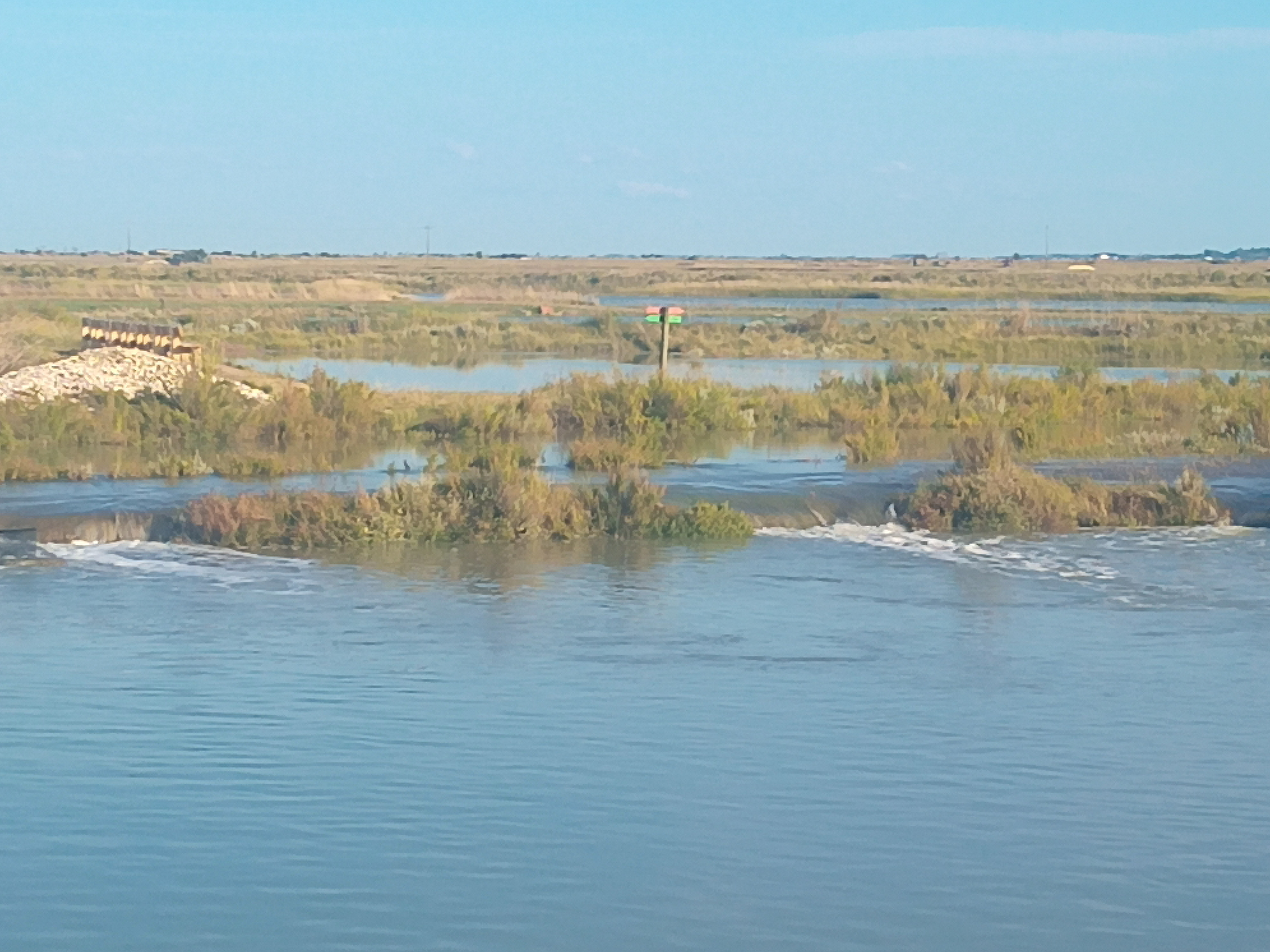 Photo n° 1 de l'avis de siguenza.i fait le 01/09/2023 à 19:42