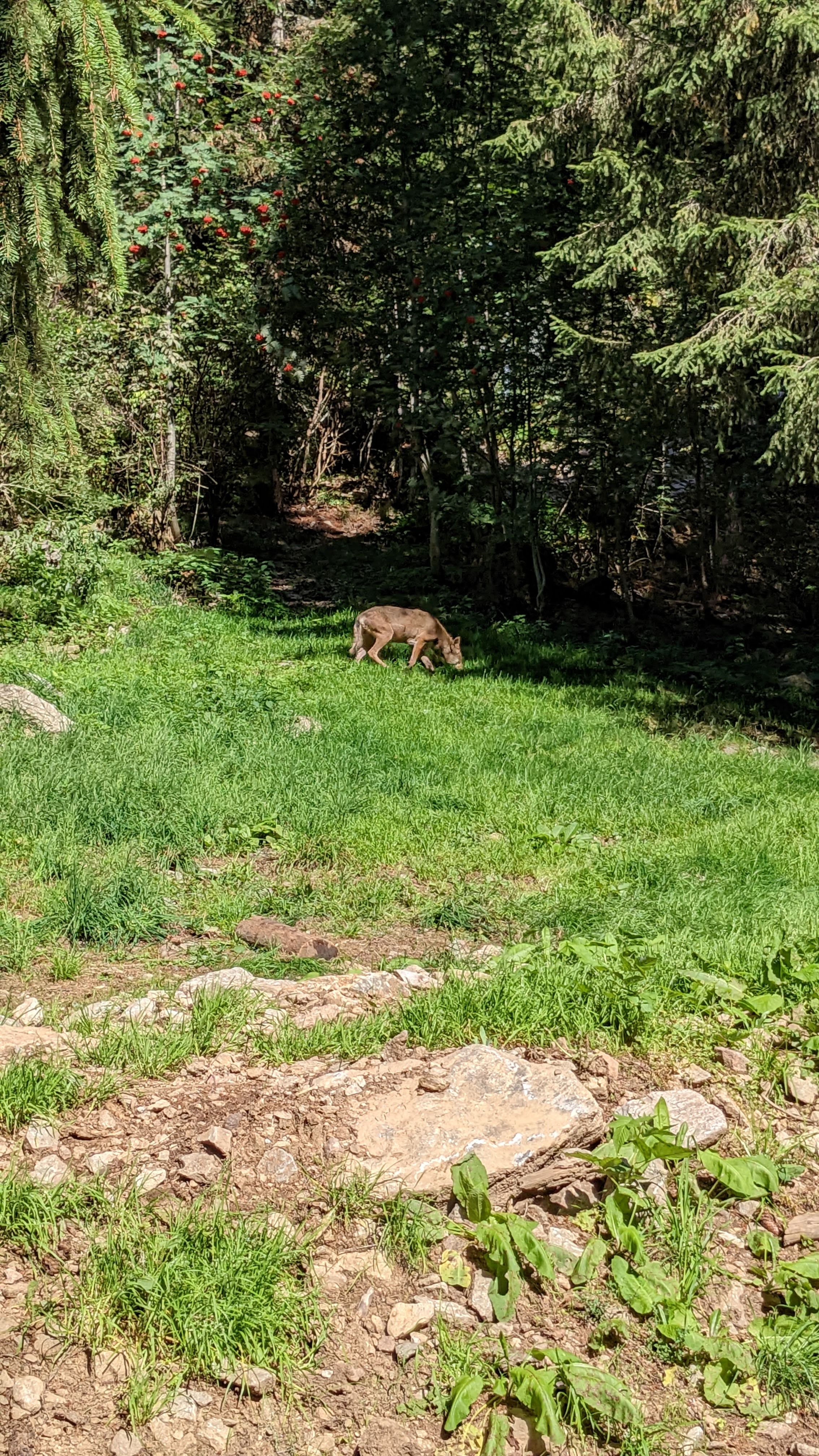 Photo n° 4 de l'avis de Florian.o fait le 11/09/2022 à 15:52