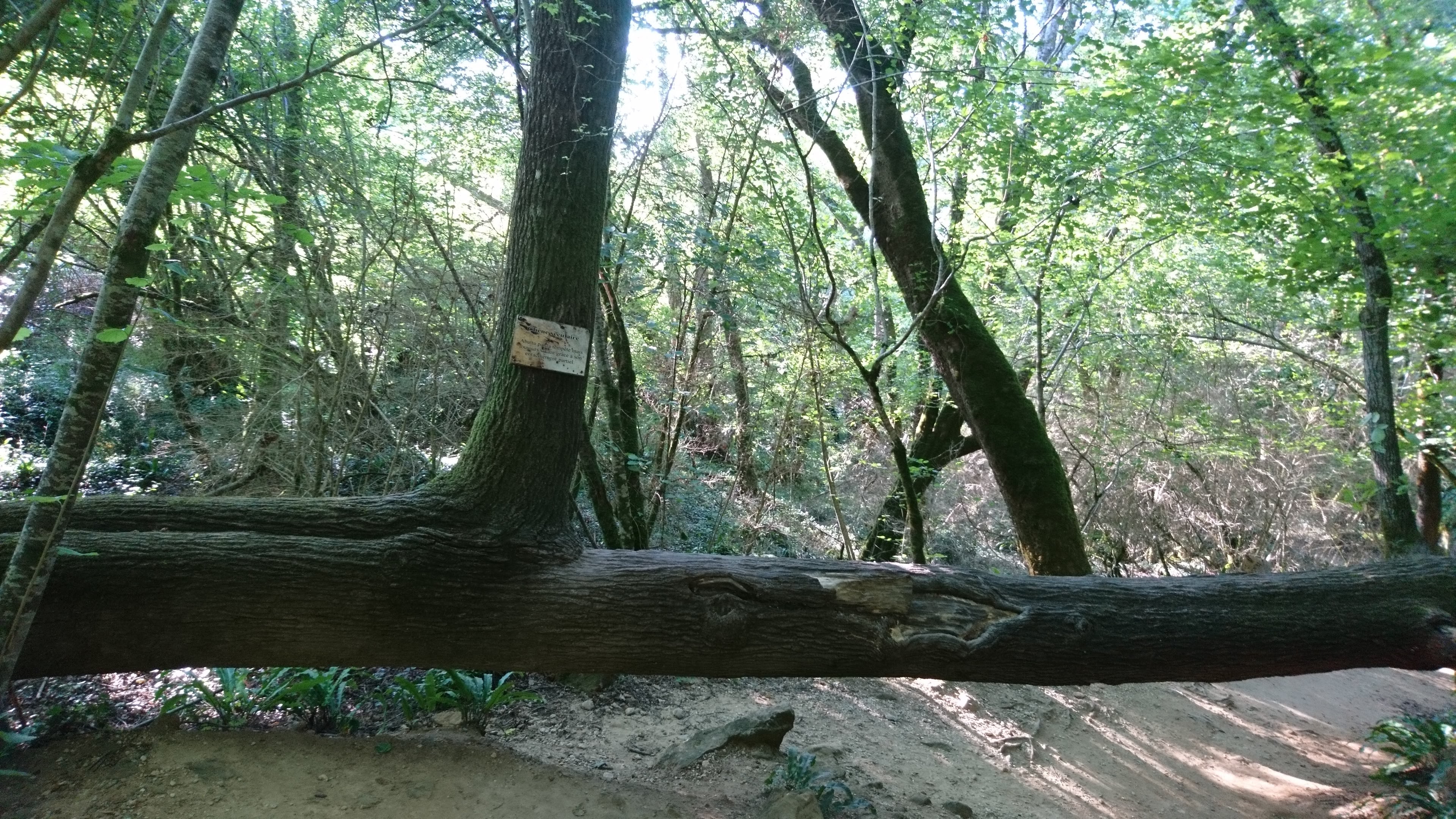 Photo n° 6 de l'avis de Karine.a fait le 28/08/2018 à 09:58