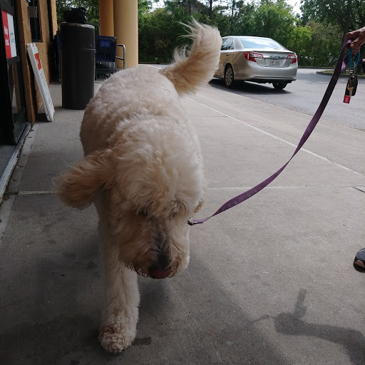 Pet Supply Store «PetSmart», reviews and photos, 45 Park Pl Dr, Covington, LA 70433, USA