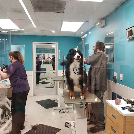 Pet Supply Store «Petco Animal Supplies», reviews and photos, 3215 Dredge Dr, Helena, MT 59602, USA