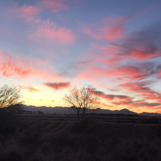 Attorney «Matthew Lopez Law, PLLC», reviews and photos