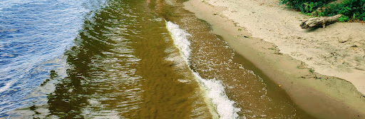 State Park «Gillette Castle State Park», reviews and photos, 67 River Rd, East Haddam, CT 06423, USA