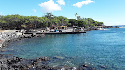 Mahukona Beach'in fotoğrafı vahşi alan