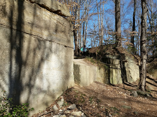 Park «Government Island», reviews and photos, 191 Coal Landing Road, Stafford, VA 22554, USA